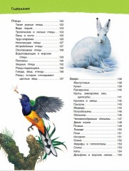 Большая иллюстрированная энциклопедия - Фото 4