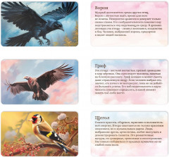 Набор карт метафорических  «Полёт моей души» - Фото 5