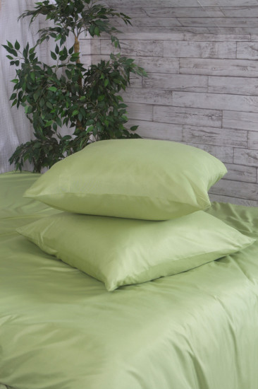Комплект постельного белья «Green»