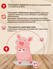 Добавка кормовая для поросят и свиней «Крепковит» - Фото 5