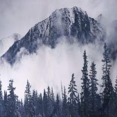 Штора для ванной «Сумерки» - Фото 1