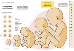 Пападос - Фото 1