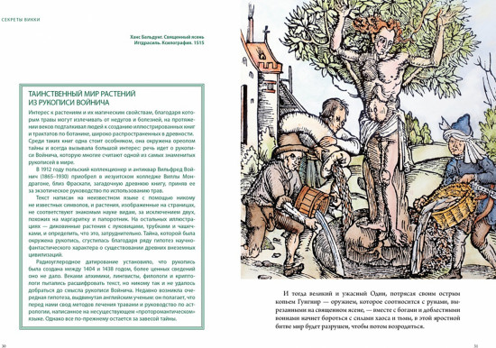 Викка. Зелёная магия, растения и ритуалы