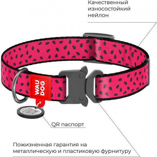 Ошейник для собак с QR-паспортом «Арбуз»