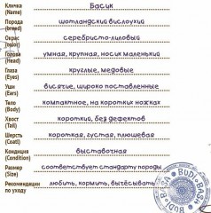 Басик в вязаной  шапке и шарфе, 19 см - Фото 4