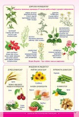 Атлас. Жаратылыстану. 5 сынып - Фото 4