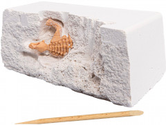 Набор для проведения раскопок - Фото 3