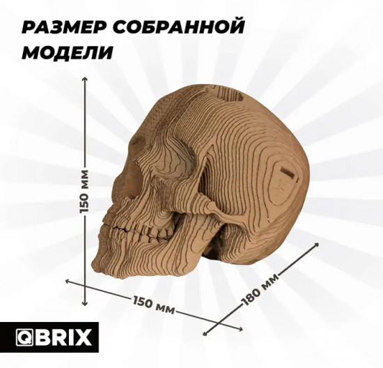 3D пазл «Череп органайзер»