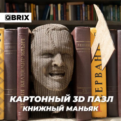 3D пазл «Книжный маньяк» - Фото 5