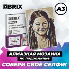 Мозаика алмазная «Vintage» - Фото 1