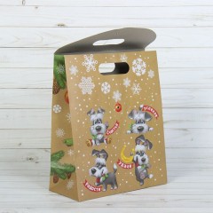 Пакет с клапаном (26х32х12 см) - Фото 1