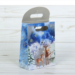 Пакет с клапаном (26х32х12 см) - Фото 1