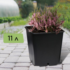 Горшок для рассады - Фото 1