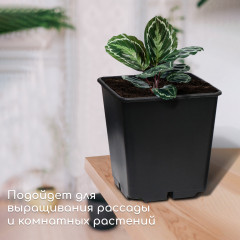 Горшок для рассады - Фото 2