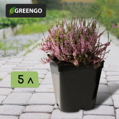 Горшок для рассады - Фото 1