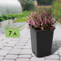 Горшок для рассады - Фото 1