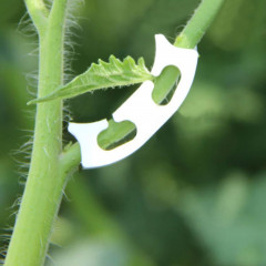 Набор кистедержателей «Улитка» - Фото 1