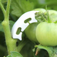 Набор кистедержателей «Улитка» - Фото 2