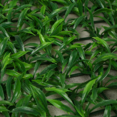 Панель декоративная «Трава» - Фото 2