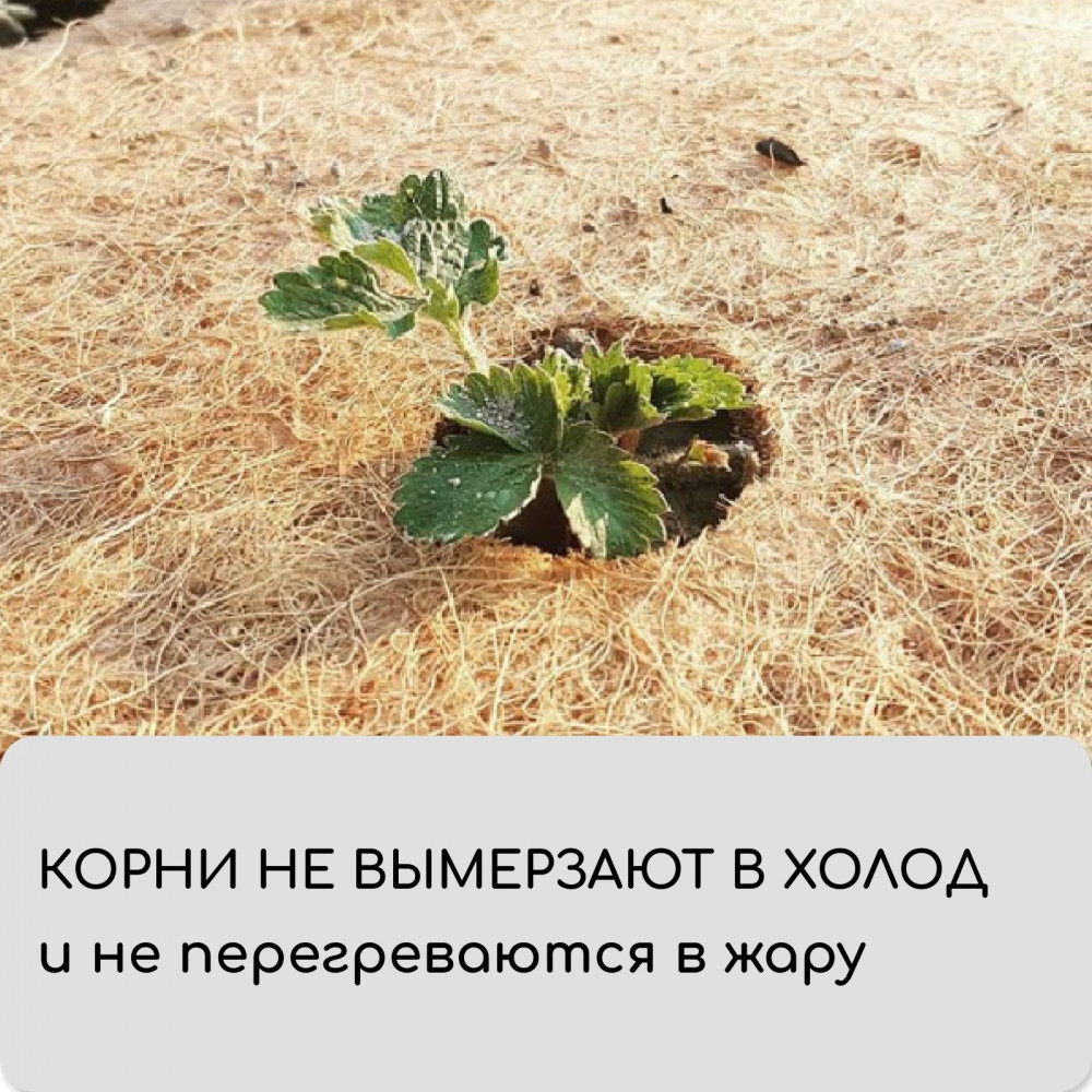 Полотно кокосовое для мульчирования / 6 × 0,75 м — Мульчаграм