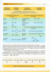 Биологическая химия - Фото 5