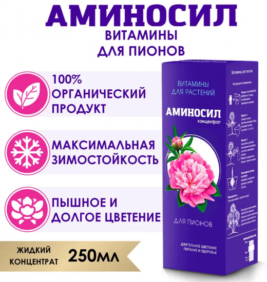 Концентрат для пионов