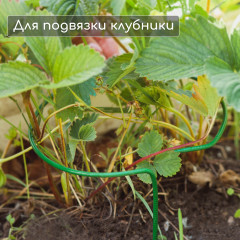 Кустодержатель для клубники - Фото 1