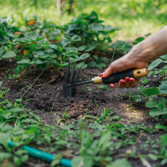 Мотыжка комбинированная - Фото 3