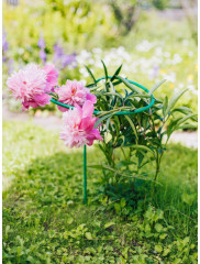 Кустодержатель для цветов - Фото 2