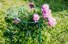 Набор кустодержателей - Фото 1