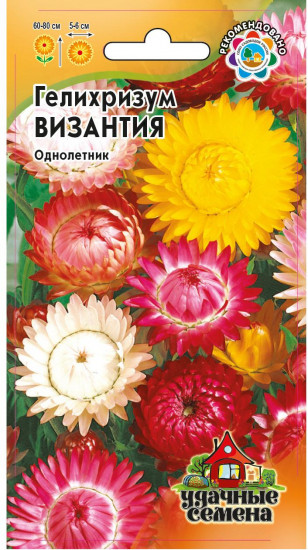 Семена. Гелихризум «Византия»