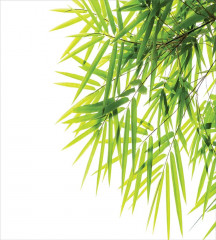 Набор салфеток сервировочных «Лиственная композиция» - Фото 4