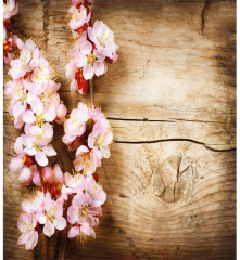 Набор салфеток сервировочных «Ветка вишни на дереве» - Фото 2