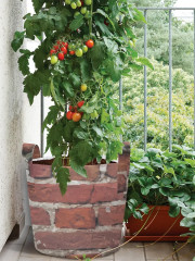 Мешок для хранения и рассады декоративный - Фото 1