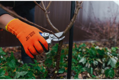 Секатор плоскостной - Фото 3