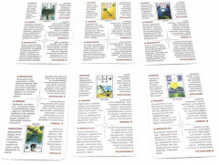 Учи Ленорман! - Фото 5