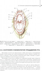 Основы технологии зубного протезирования - Фото 2