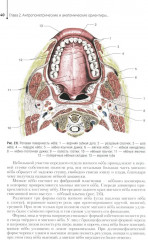 Основы технологии зубного протезирования - Фото 3