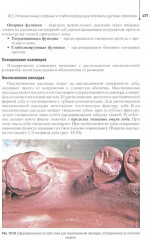 Основы технологии зубного протезирования - Фото 6