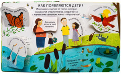 40 окошек. Откуда берутся дети - Фото 1