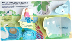 40 окошек. Откуда берутся дети - Фото 4