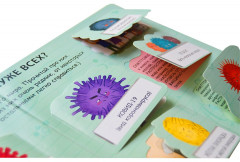 40 окошек. Что делать, чтобы быть здоровым - Фото 4