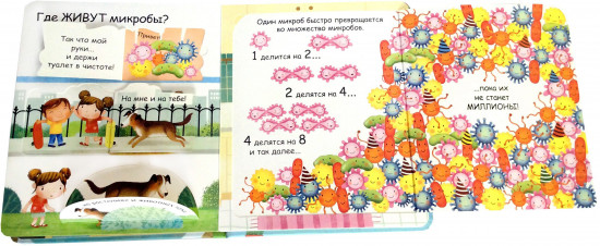 Самые первые окошки. Про микробы