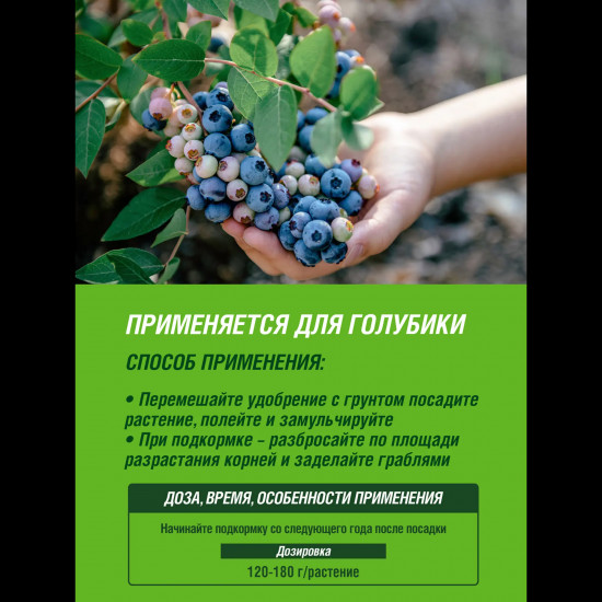 Удобрение для голубики