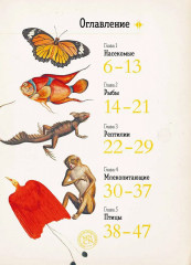 Зоология в картинках - Фото 2