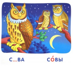 Сова. Гласные и согласные в корне слова. Набор карточек с картинками - Фото 1