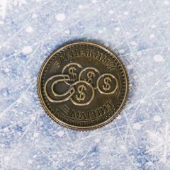 Монета «Притягатель бабосиков» - Фото 2