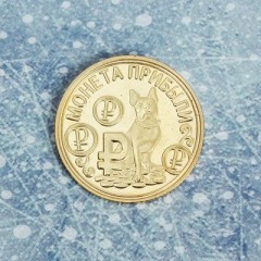Монета «Прибыли» - Фото 2