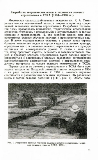 Зелёное черенкование садовых и лесных культур