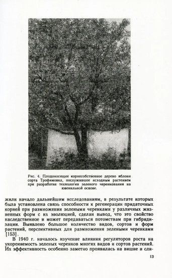 Зелёное черенкование садовых и лесных культур